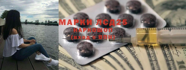 стаф Алексин