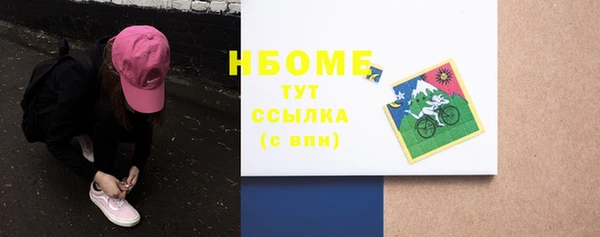 стаф Алексин