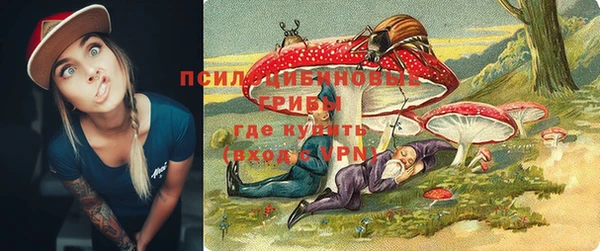 стаф Алексин