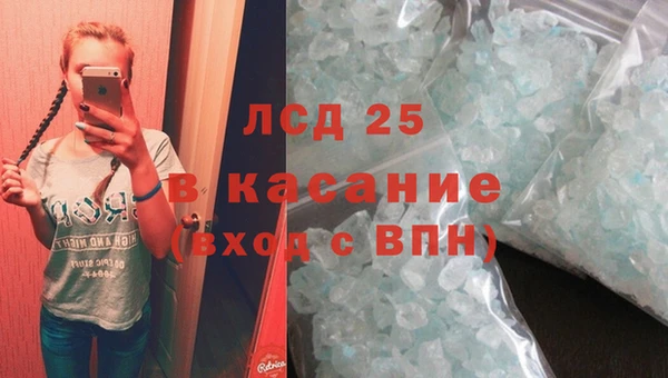 ECSTASY Алзамай