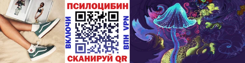 Галлюциногенные грибы GOLDEN TEACHER  купить   Чаплыгин 